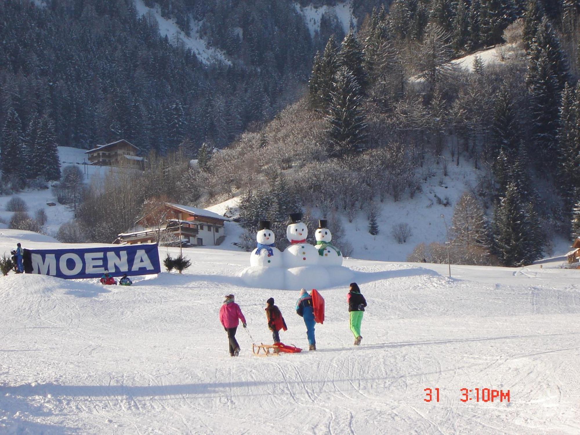 Stella Alpina